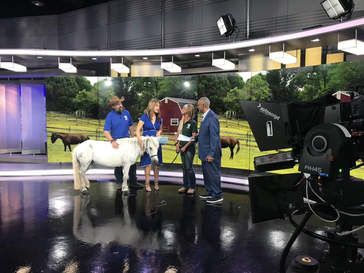 HoustonSPCA's tweet photo. Opal, the mini horse, stole hearts on @FOX26Houston with her cute tricks and charming personality. She's available for adoption and would make a great addition to any family. MEET OPAL: https://t.co/Tl8MjgoEqH
#HoustonPets #MiniHorse #Adopt #AdoptMe https://t.co/TgJksmFVUi