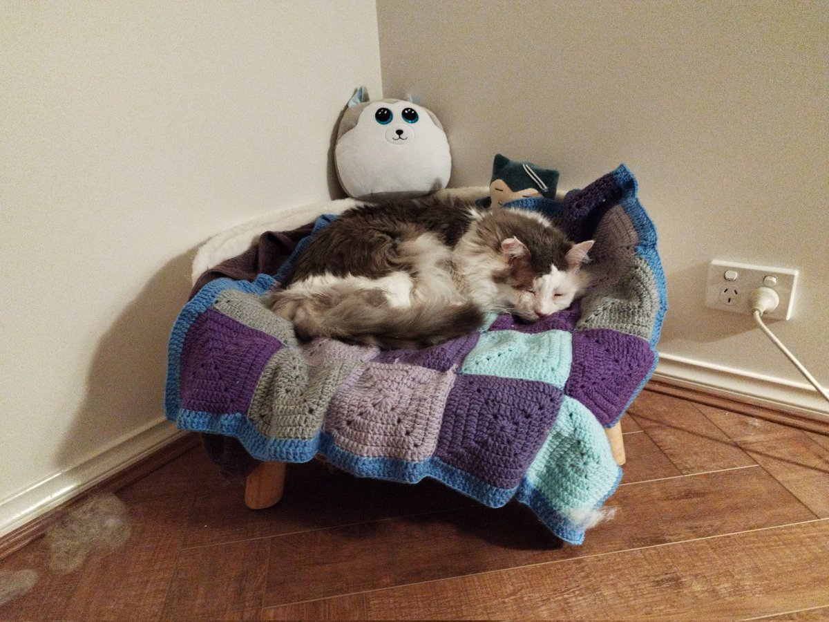 He deserved so many more years of being spoiled, but I'm grateful for the 4 short years we were in his life. 

Thank you so much for loving my boy as much as we did. Your love and support mean the world to us