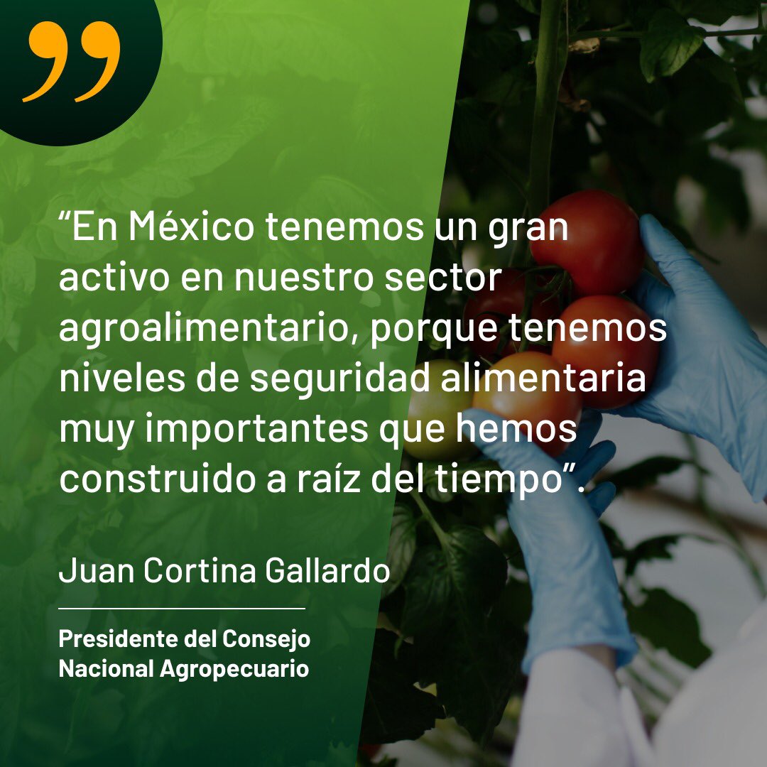 Hoy más que nunca hemos aprendido que la seguridad alimentaria es vital.

#CampoMexicano 
#SectorAgro