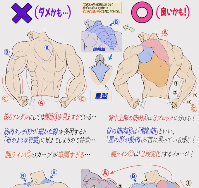 【ゴリマッチョの筋肉のデッサン方法】

「ダメかも❌」と「良いかも⭕️」

🔥4月最新作のFANBOX講座です🔥
全編5ページはここで見放題できます👇
https://t.co/VcjZ5YCRxU

🔺FANBOXは過去6年間で制作した
《500枚超のイラスト講座》をまとめた図書館です📝✨✨

初級者の方でも楽しく勉強できます‼️ 