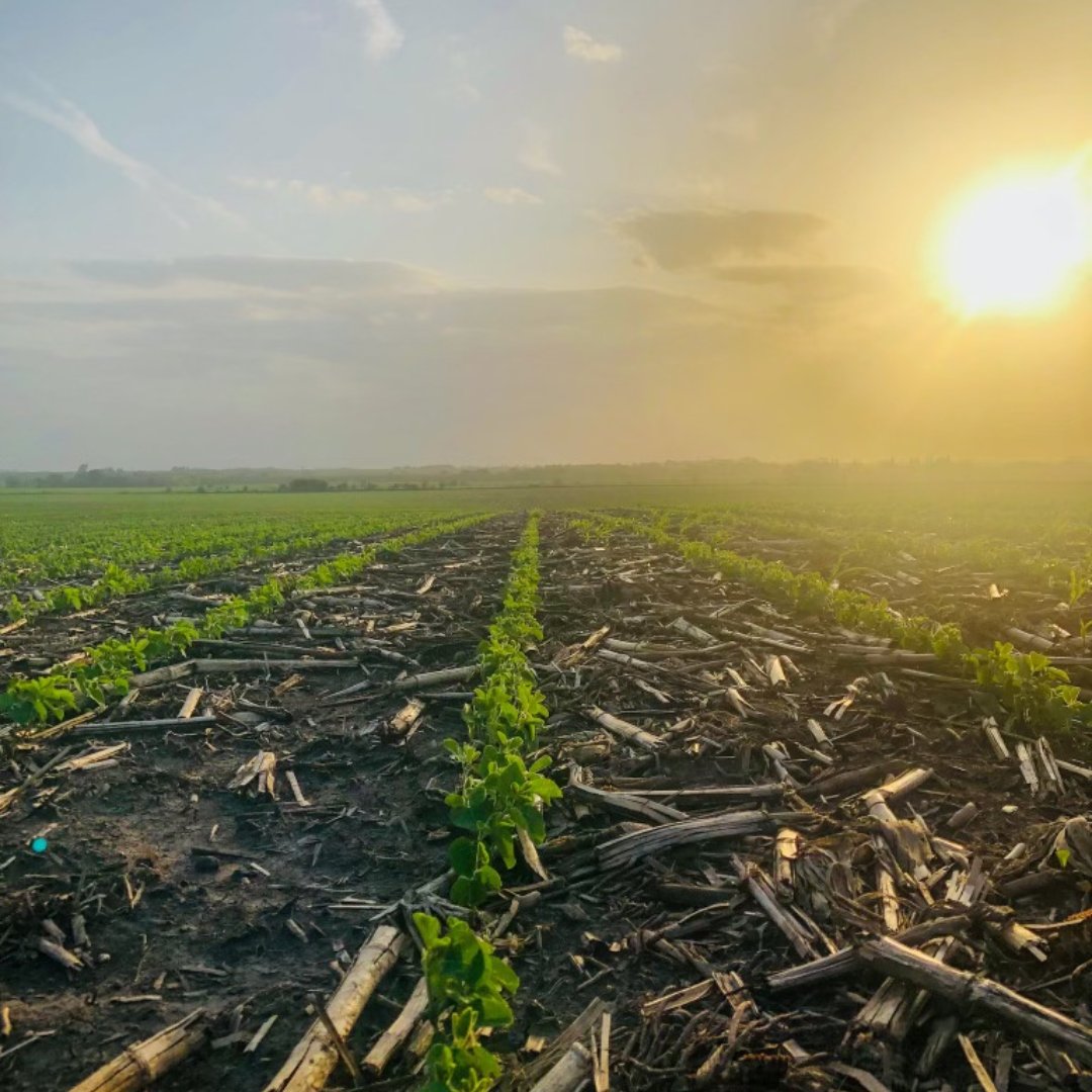 DirectContactAG's tweet photo. Direct Contact, Inc is the leader in Agribusiness Solutions. Supporting our clients vision for a better tomorrow, since 1997.
Visit us online at https://t.co/yrgdEm0C06 to learn more about our services.
#agservices #agriculture #agjobs https://t.co/nCr6d9w58K