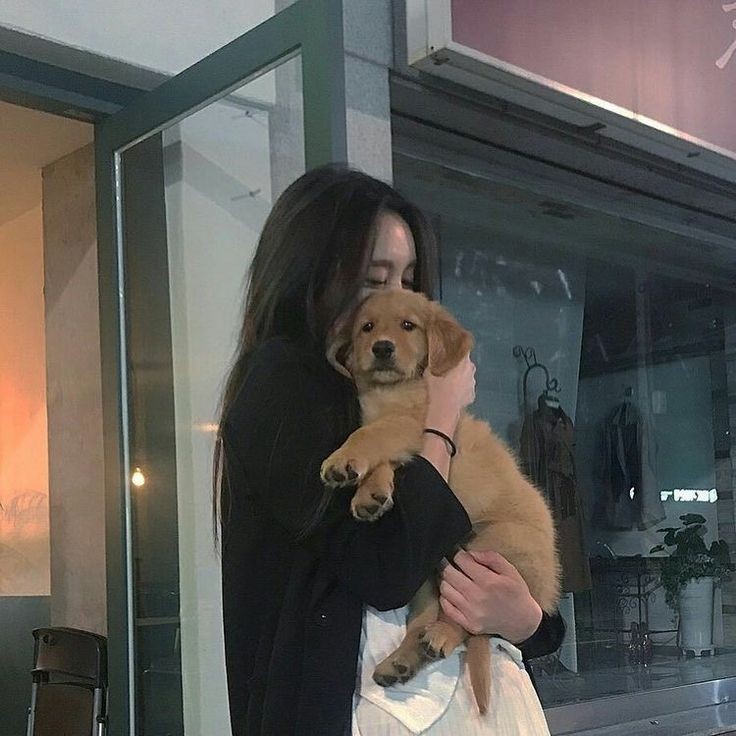HaleyColbourn's tweet photo. "Hay un terreno cerca de aquí donde mi padre construyó una casa del árbol para mí [...] Usaba esa casa para rescatar perros y gatos de la calle. Tenía decenas de ellos [...] 
Tuve la idea de un dia de mascotas con mi clase del colegio." https://t.co/82X4byRa5H