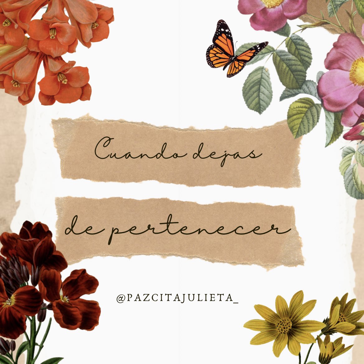 pazcitajulieta_'s tweet photo. 💘☁️✨ https://t.co/fexrcjGPkP