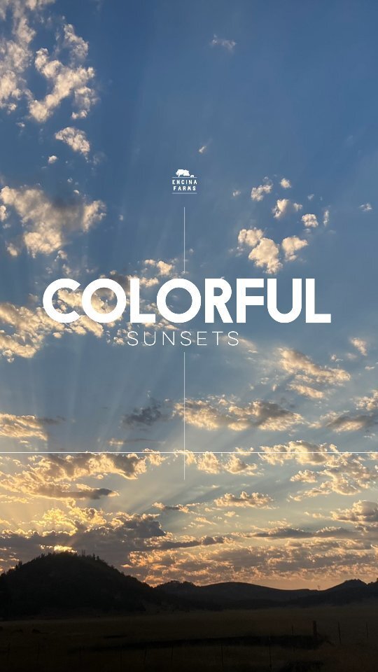 Encina Farms tweet media