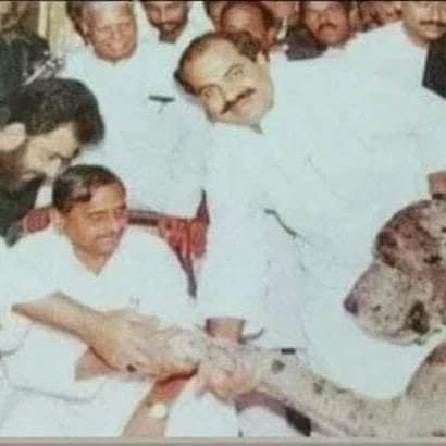 mktyaggi's tweet photo. माफिया से खानदानी "भाईचारा" रहा है अखिलेश का,
बाप ने पैदा किया और बेटे ने पाला था अतीक अहमद को,
दर्द भी है और डर भी,
दर्द इसलिए कि "भाई" का बेटा मरा है और डर इसलिए कि अब कोई माफिया "सपा" के साथ खड़ा होने की हिम्मत नही करेगा।
यही डर होना चाहिए–माफिया और उसके पालनहारों में https://t.co/QyT5IpGIkK