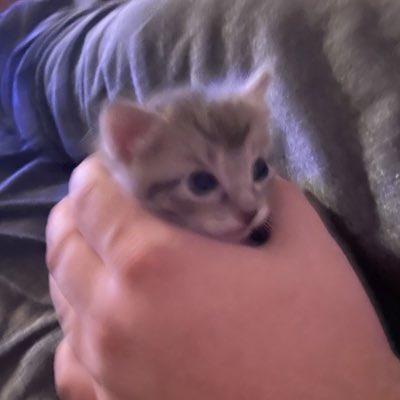 EmilyIsBlind's tweet image. #NewProfilePic