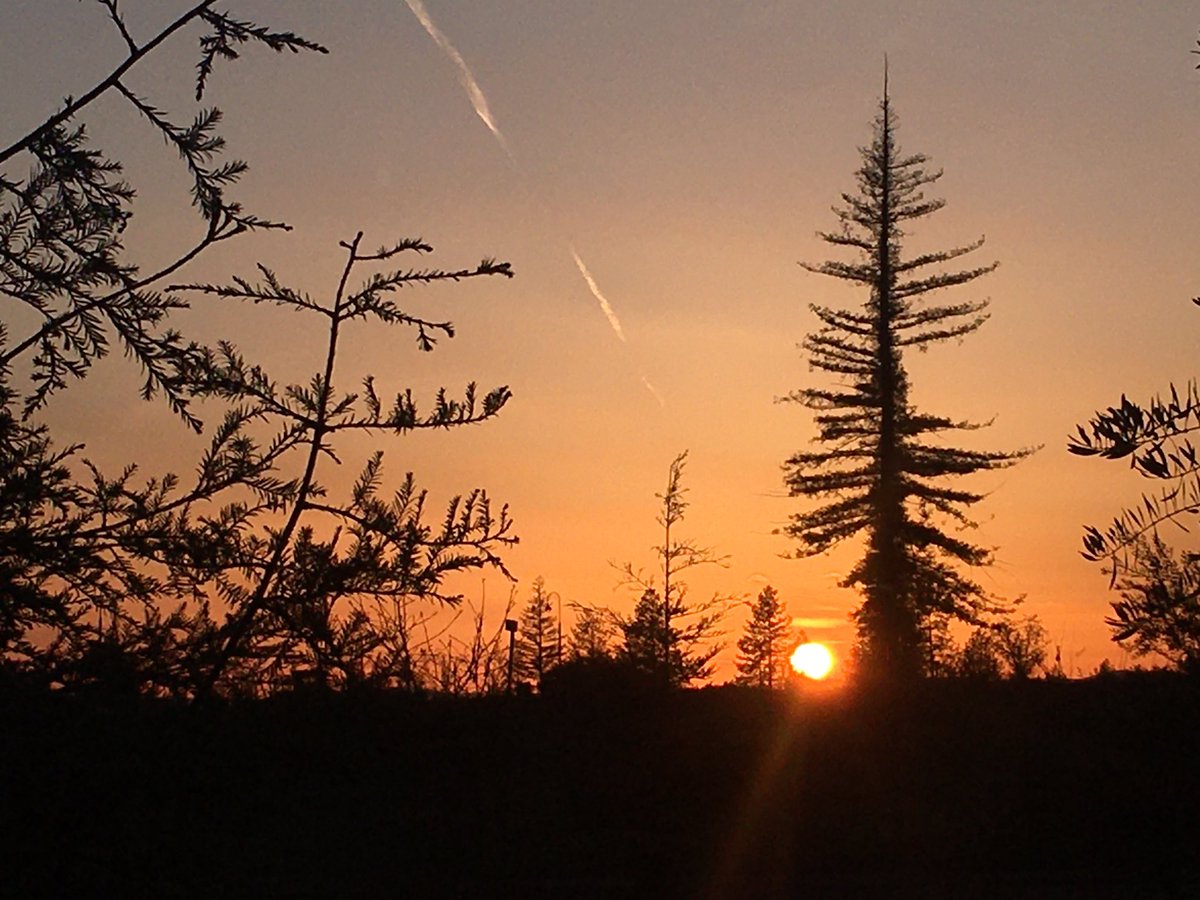 Pretty #sunset in #Paradise CA tonight.