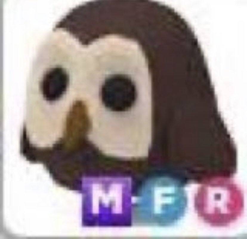 MFR OWL GW

- to enter please,
follow @yoriraki &amp; <a href="/liljj_06/">oi</a> 
❤️ &amp; 🔄
- tag ppl!

ends soonish 😁

tags; #giveaway #giveaway #adoptmegiveaway #adoptme