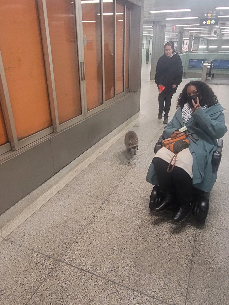 SarahJama_'s tweet photo. I forgot to share this until now...Last week there was a literal RACCOON inside a subway station in Toronto. Toronto is built different. https://t.co/NMxthE2tHj
