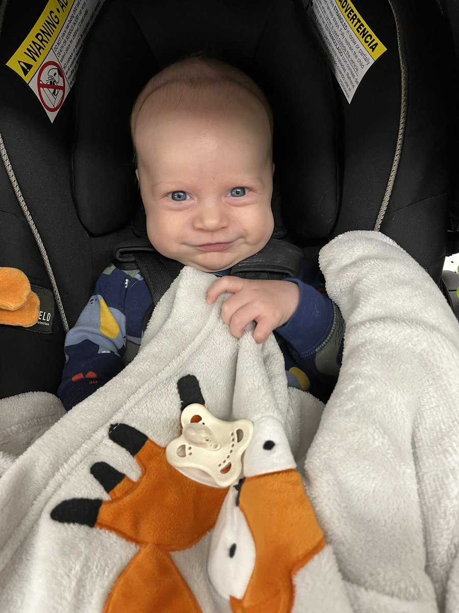 kailabear_13's tweet photo. Hi hello, my baby is the cutest 💙 https://t.co/ntcHOoO5AM
