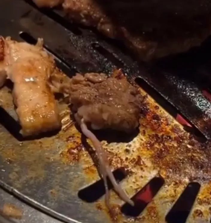 Trafficvn's tweet image. Gân bò hay sán
Nhà hàng nướng Hàn Quốc GÔ GI đang gặp phải một số nghi vấn về chất lượng khi một khách hàng phát hiện một con sán trong miếng thịt nướng của mình và đăng tải trên mạng xã hội.
#gogi