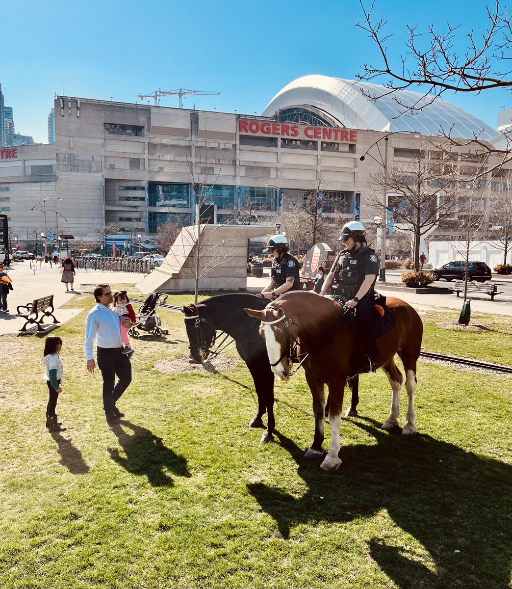 TPSMounted's tweet image. #PHSutherland and #PHDraper meeting new faces at the #BlueJays game. #nicetomeetyou #bigmeetssmall #gentlegiants #policehorse #mounted #torontopolice