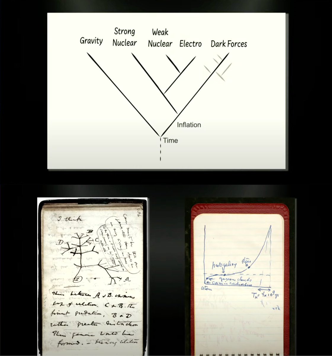 madhavajay's tweet image. We always thought Darwinism was against a stable background, but Stephen &amp;amp; I think this is a mistake. If we trace the evolution of the universe back, its not just the origin of time but the origin of laws itself. #CosmicEvolution #ThomasHertog 🌌✨🔭🤯

youtu.be/oyyOYjssJ6Y