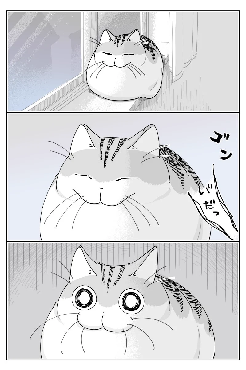 頭をぶつけたら、そこへ猫がやってきて･･･！可愛くて癒される「猫漫画」が話題に！