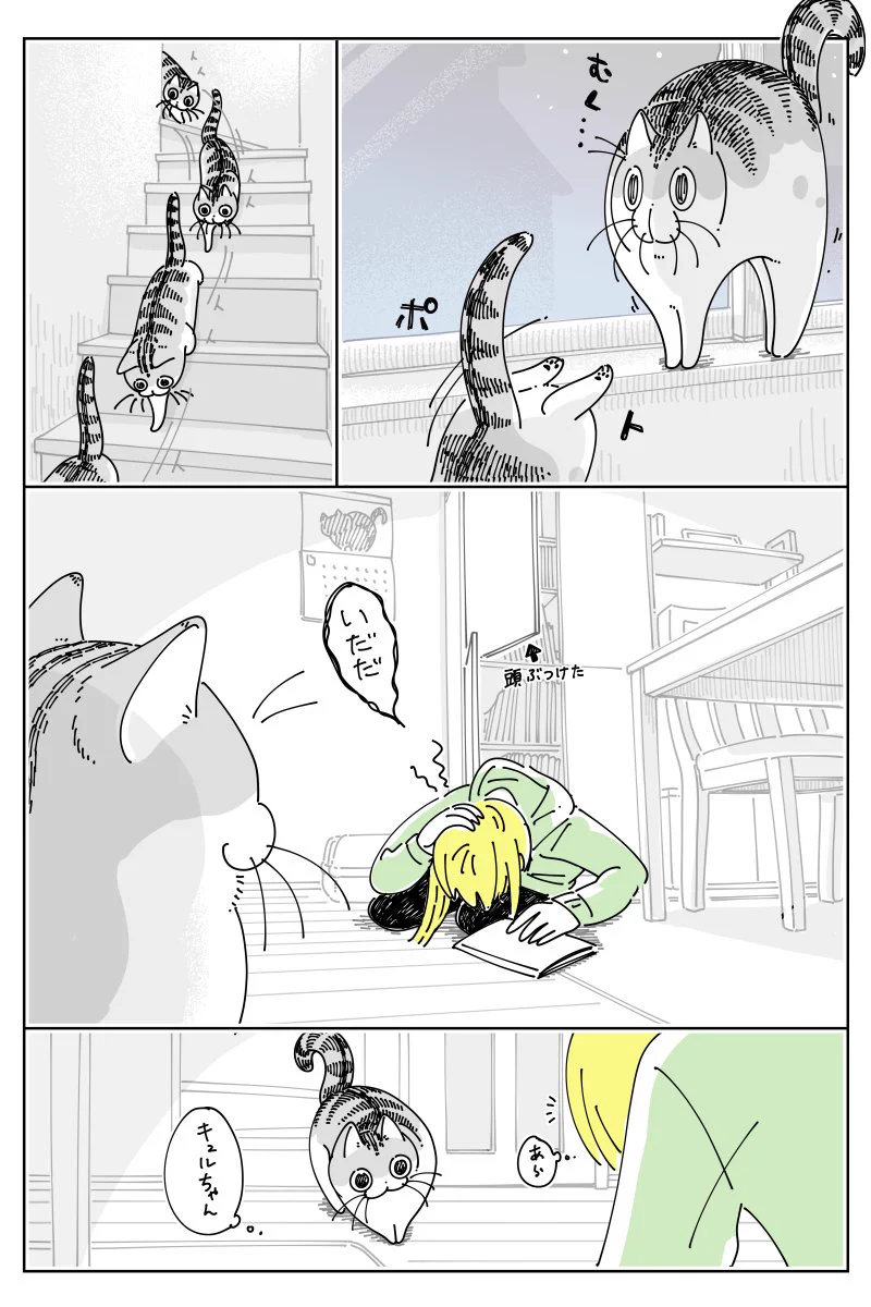 頭をぶつけたら、そこへ猫がやってきて･･･！可愛くて癒される「猫漫画」が話題に！
