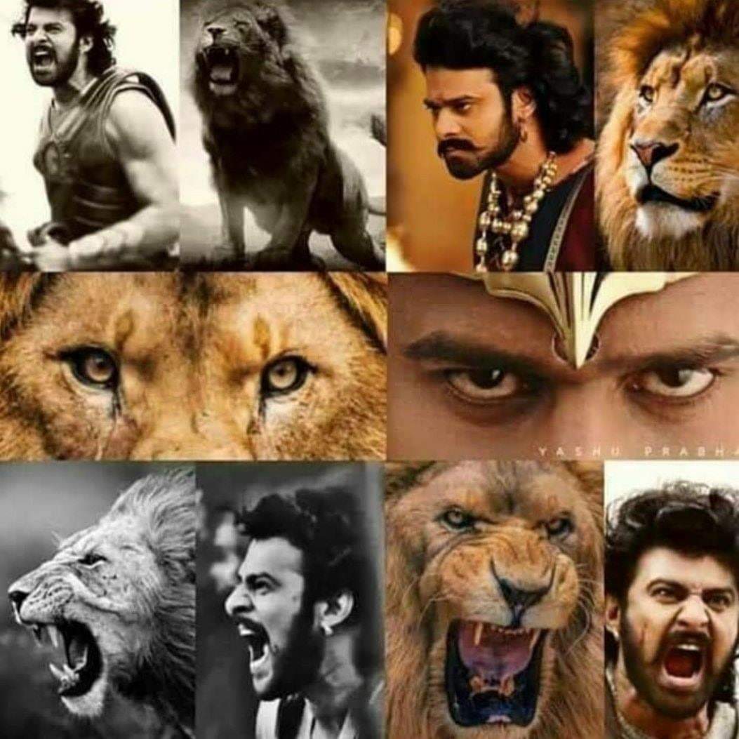 Movies4u_Officl's tweet photo. No doubt #PRABHAS 💥💥 https://t.co/6nyjrwRieF