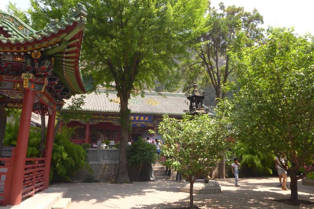 China Says tweet media