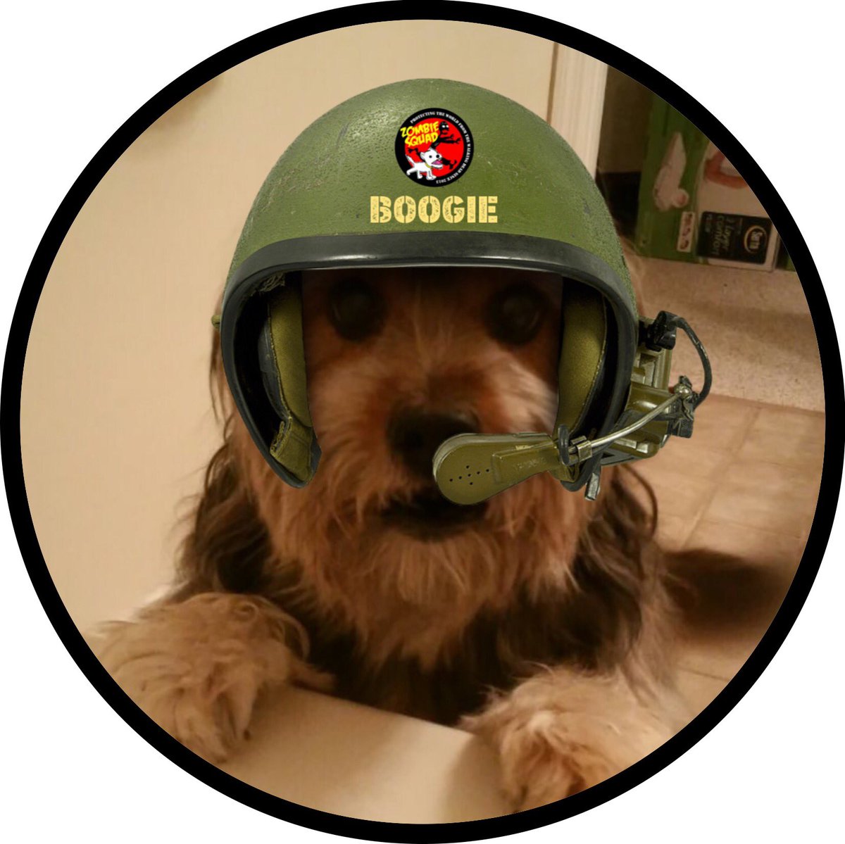 IamBoogie's tweet photo. Hello fwendz. Me Boogie here got a zombie report. I saw dis 2 slow moving zombies. I was gonna eat them to be safe but mommy says "no no Boo not a zombie. I told mommy they slow like zombie. Maybe tiny zombies?
#ZSHQ https://t.co/3HOyTQucMq