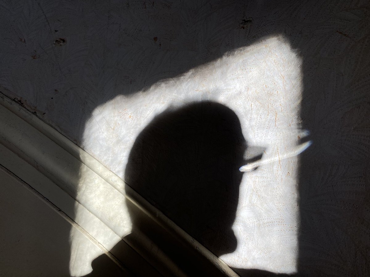 20230409 Curious Dramatic Shadow Self-Portrait During A Global Pandemic, Trumansburg, NY. Z.
#selfportrait 
#dramaticshadow 
#barringerzahlerresidency 
#spring 
#april 
#globalpandemic
#physicaldistancing
#coincidentaltourist 
#JoeZBigAdventure 
#pondaroski
#JoeZiolkowski