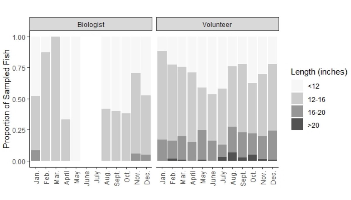 Cool by-product of our #cutthroat #sealice results showing discrepancy in reporting of fish size by volunteer anglers vs. biologist.  Contrasts with good coherence of sea lice counts between volunteers and biologists.  Anglers liars, inflators or actually catching larger fish?🤔