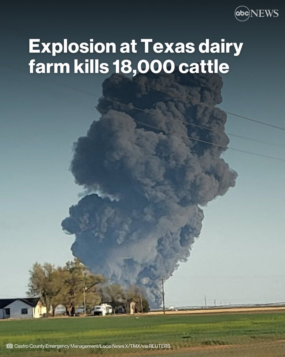 angelwolf71885 💎🙌 on Twitter: "RT @ABC: An explosion at a dairy farm in