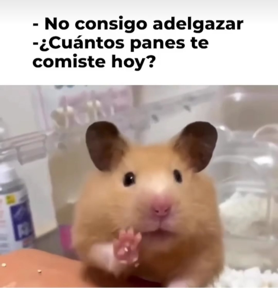 Abigail_balon_'s tweet photo. Ja ja ja para ver a #JesusEnUNIFE54 amerita el exceso ja ja ja 🤭🤭🤭 
Ya falta menos para comenzar 🤗 en punto de las 10:00 PM https://t.co/5D7qHHzPve