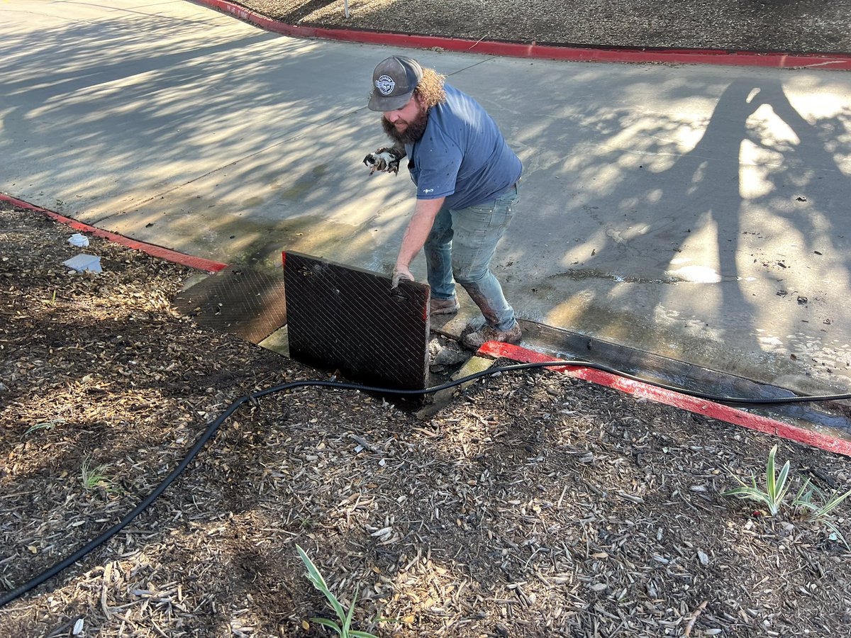 seegerwater's tweet photo. Yesterday evening, Seeger Water technicians working to rebuild a collapsed water main rescued a litter of newborn kittens from a storm drain. #seegerwater https://t.co/FgojP6jtTl