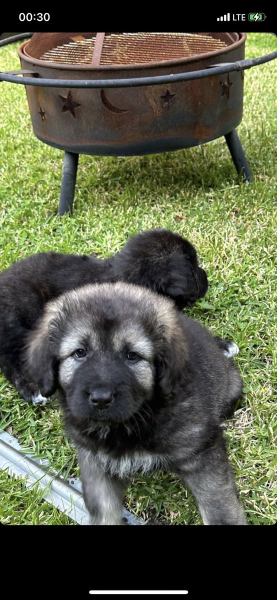 Sky and Sea tweet media