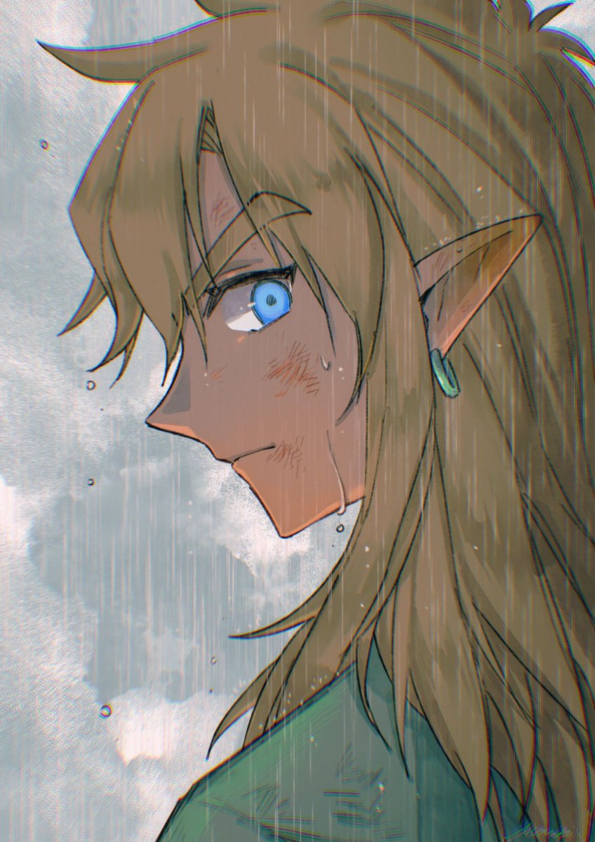 无显 on X: #TOTK #BOTW #Zelda #Zelink #リンゼル  / X