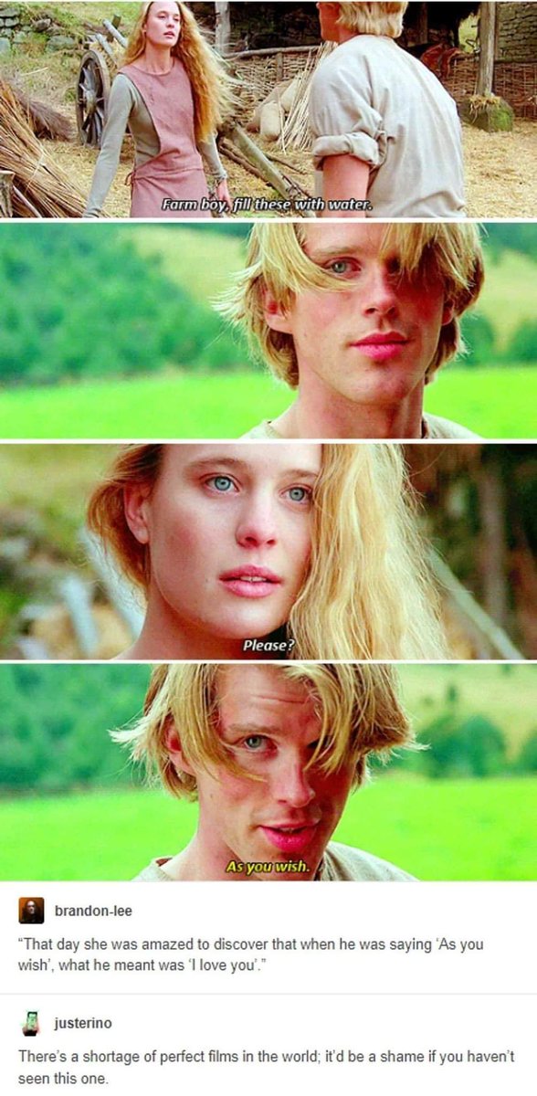 WholesomeMemes tweet media