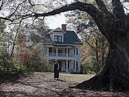 Aleisa 🌅 tweet media