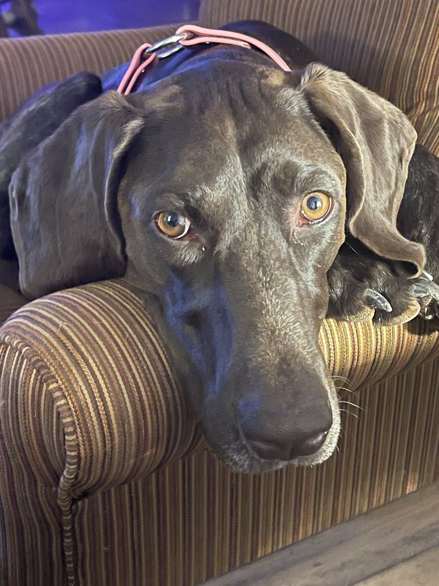 Cindylouwhobaja 🇺🇸 tweet media