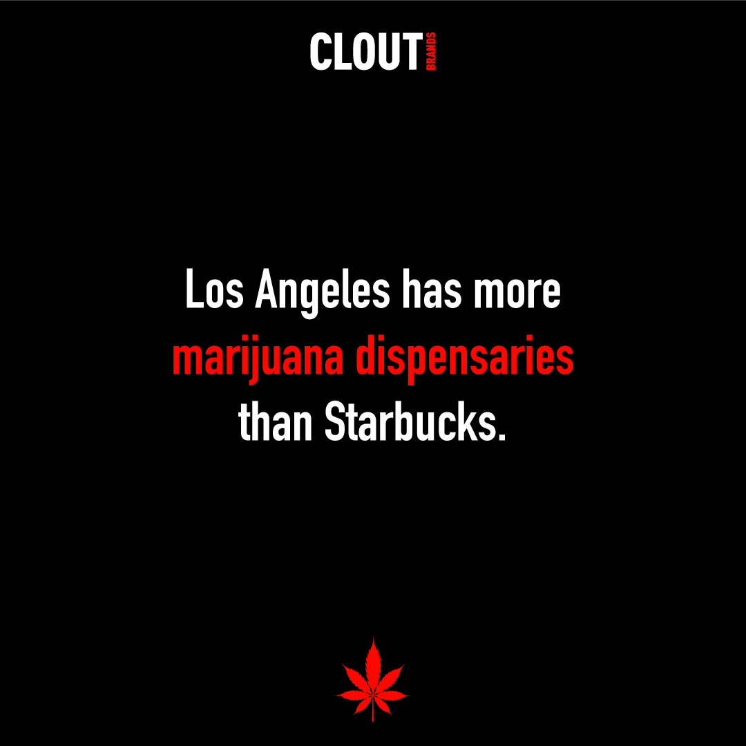 CloutBrands's tweet photo. Can you believe it? This is why LA is called "Weed Wonderland".

#cannabislife #cannabiscommunity #marketingforcannabis #marketinsights https://t.co/OhpaVk774d