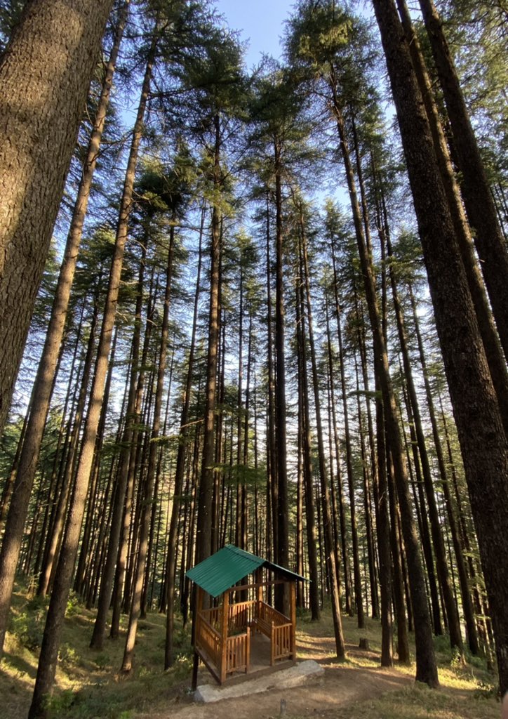 Lost in wilderness!!! 

#GarhwalHimalayas