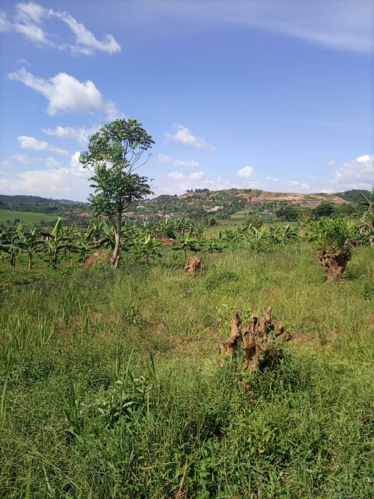 shukranproperty's tweet photo. @wekesa_amos 🔥QUICK SALE @ #48M🔥
📌 23 DECIMALS AVAILABLE FOR SALE.
📌 LOCATED IN #KITENDE,KAGA ON ENTEBBE ROAD NEAR Zion ESTATE.
📌 POWER AND WATER AVAILABLE ON SITE. AND READY PRIVATE MAILO LAND TITLE.
📌 SELLING PRICE #48M(LAST PRICE)
📌 FOR INSPECTION CONTACT 0706592177 https://t.co/xiGusHch7S