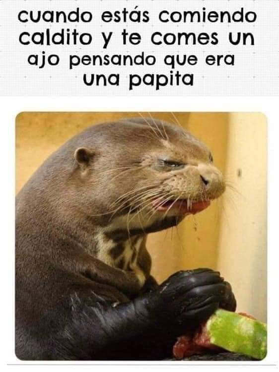 lupistrukis1997's tweet photo. #JesusEnUNIFE54
Jajaja si he sido 😆😆 https://t.co/7QWylHV7tp