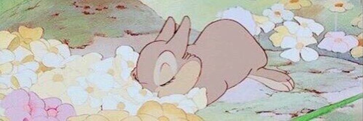 ¡ manden cc ! ⓻ tweet media