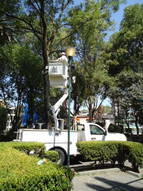 En #AccionesXTuColonia barrimos, podamos, desazolvamos, reparamos el alumbrado público y retiramos gallardetes en el Parque Americas, Narvarte Oriente.💦🧼🫧🌳💡