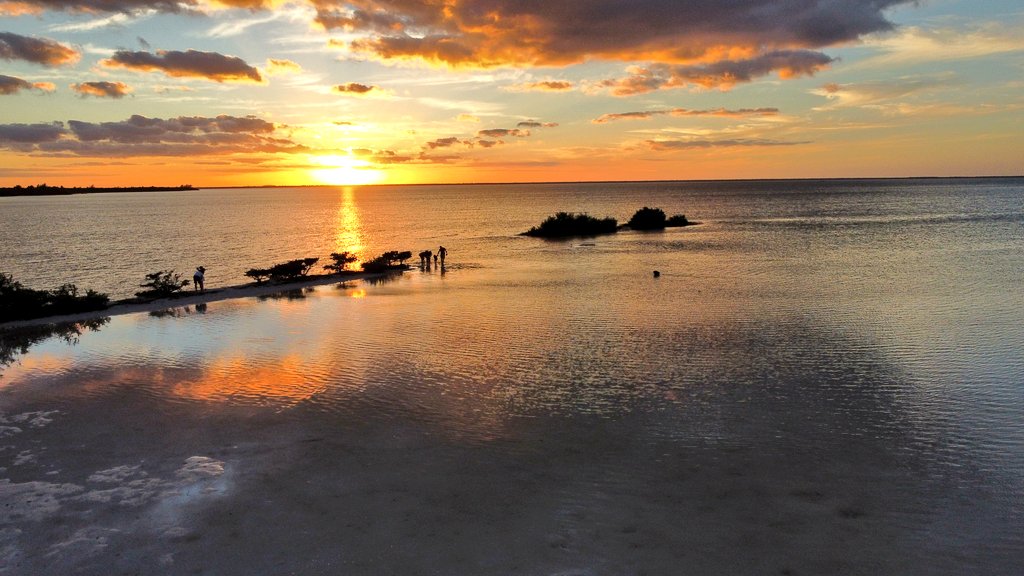danielisim0's tweet photo. Por las que no público..!! #sunset 🌄 #Cancun 🏝️ #Mexico 🇲🇽 lugares de tranquilidad. 🙌 https://t.co/5NFxPLUYqo
