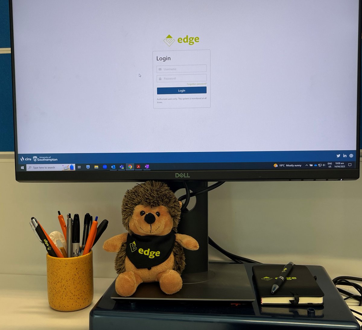 Cancer Trials New Zealand tweet media