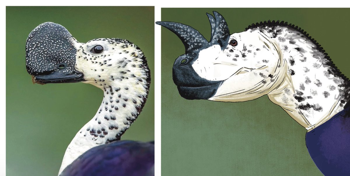 Kira Zhuravel 🇺🇦 tweet media