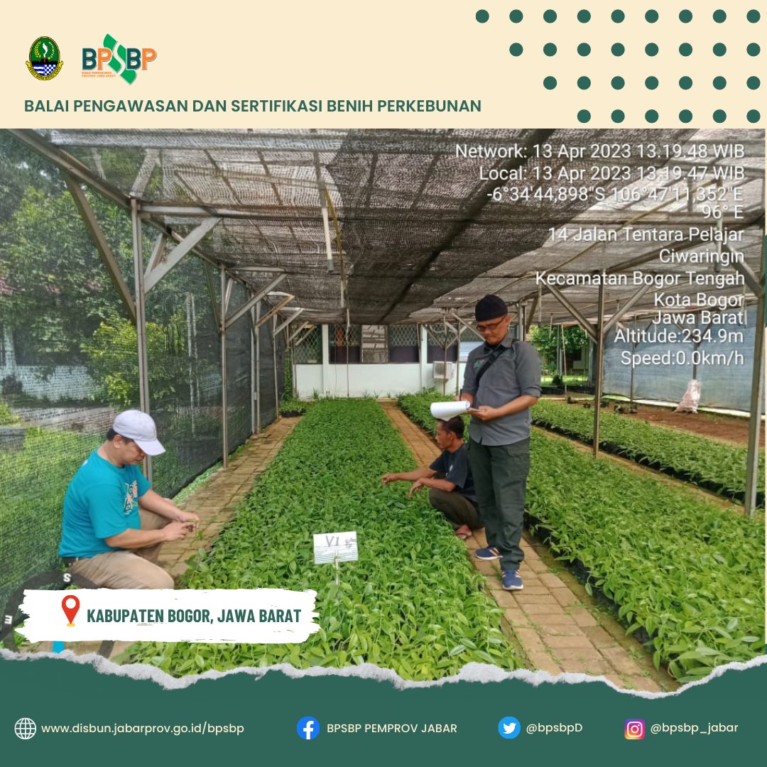 BpsbpD's tweet photo. Selamat siang #wargibunπ±π
Hari ini, Tim PBT dari UPTD BPSBP melakukan kegiatan Sertifikasi vanili.
Nah #wargibun kegiatan ini dilaksanakan di di BALITRO kab Bogor pada tanggal 13 April 2023.
#bpsbp #bpsbpjabar #disbun #disunjabar #perkebunjaya #benihvanili https://t.co/ArU5Iv2AfP