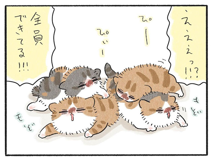 どうしてケガしたの!? 子猫全匹に『かさぶた』があるワケに「かわいい」 https://t.co/S5S1ynfnLU @grapeejpより 