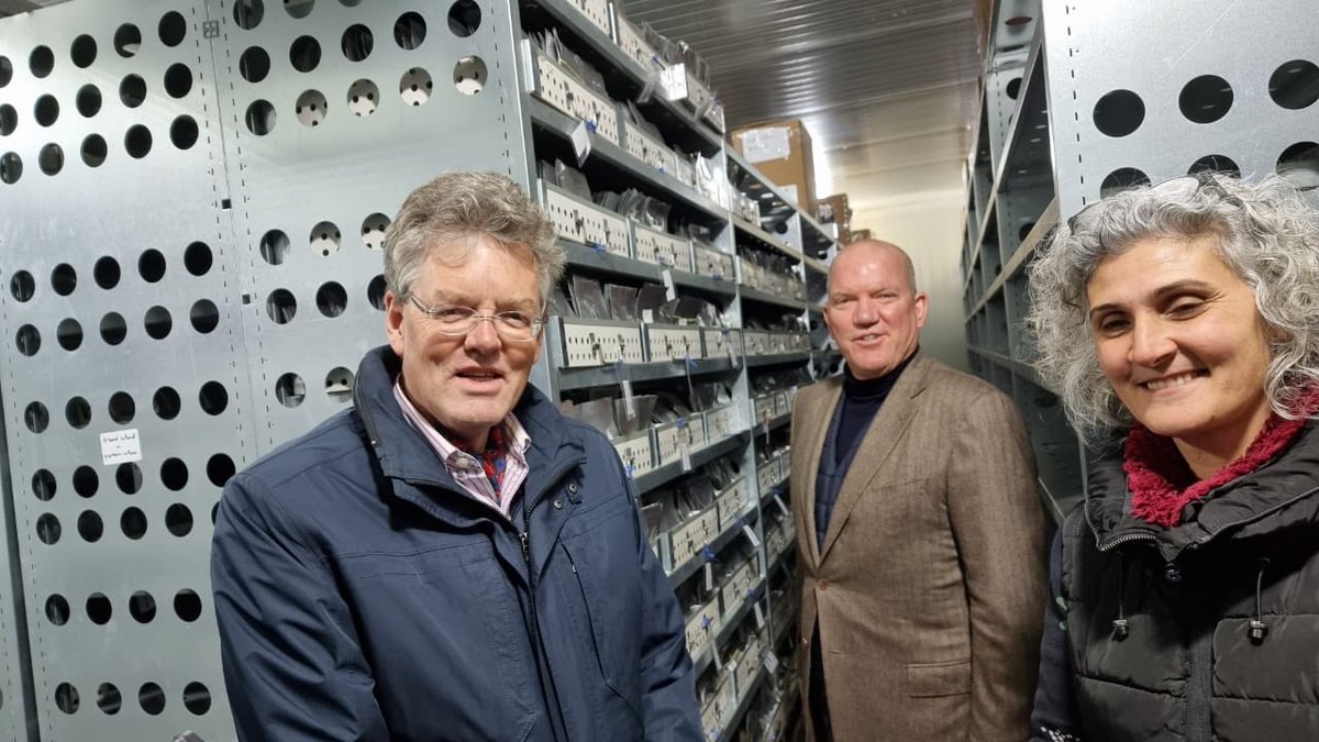 hpvanderwoude's tweet image. With the 🇳🇱 regional envoy for climate ⁦@JacobWaslander⁩ I visited ⁦@ICARDA⁩ in Terbol (Bekaa). In the Gene Vault seeds are stored to ensure global climate resilient food security. Supported by 🇳🇱. And yes, the seeds are stored at -20C ❄️☃️.