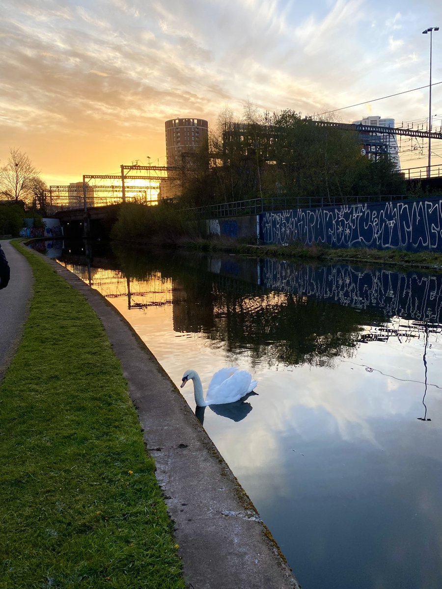 Sunrise over Leeds before day 2 of #BFDG2023 🏃🏻‍♀️. Looking forward to another great day of talks/posters on appetite and eating behaviours!