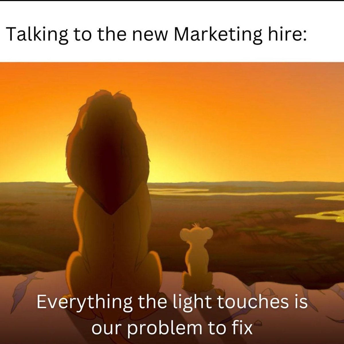 #marketing #digitalmarketing🦁
