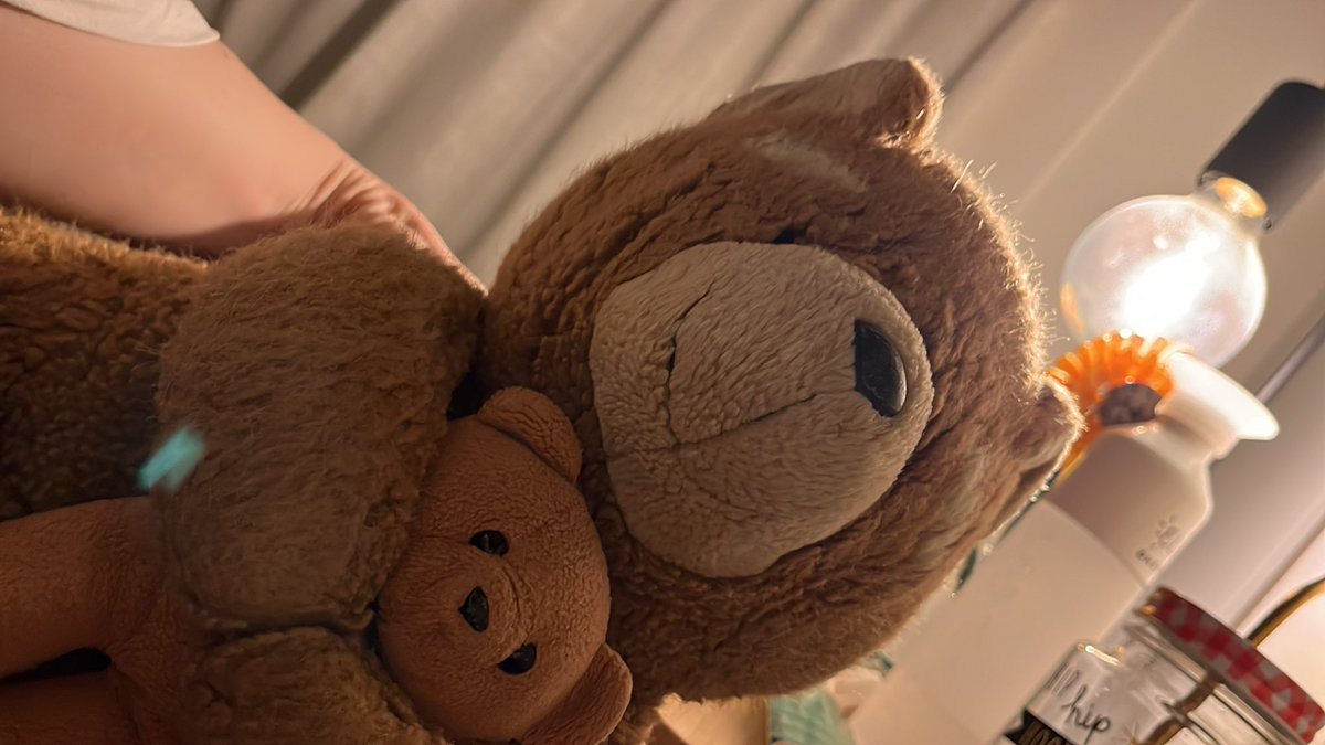 autistic_dutske's tweet photo. This is mine, his name is ‘beer en beertje’ (the dutch word for bear, not 🍻) Show me yours!! #ActuallyAutistic https://t.co/lVCqRh8NWC