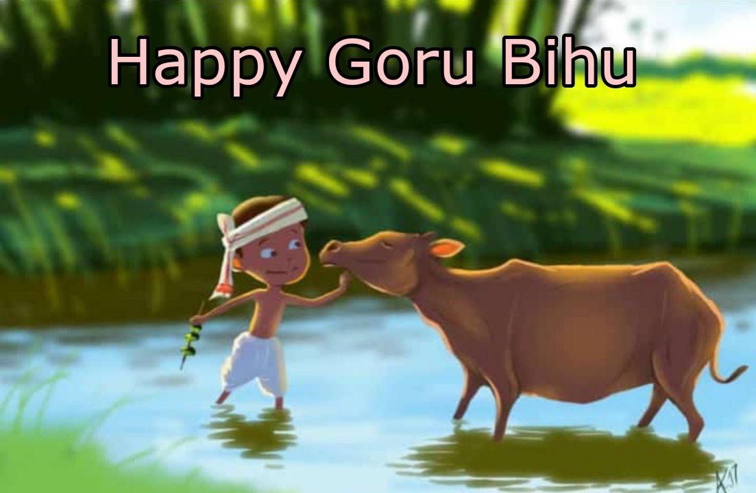 Goru Bihu, today is the first day of Rongali Bihu. People of Assam take their cows and buffaloes to the near by river  and washed and smeared with Mah- Halodhi, Dighloti and Makhioti and offered to eat bottle gourd, eggplant etc. to grow healthy.

#GoruBihu #RongaliBihu