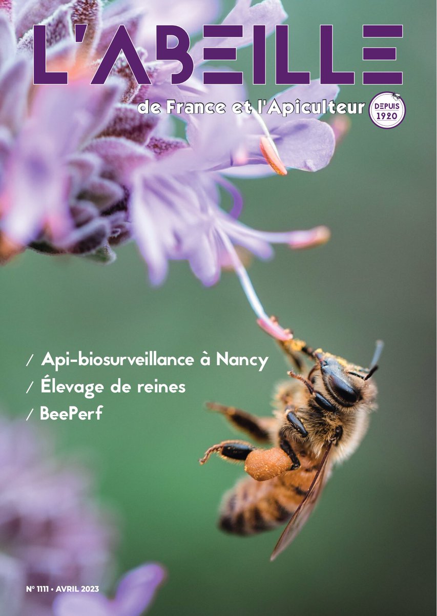 AbeilleDeFrance's tweet image. #VendrediLecture…et voici notre jolie couverture ! Balade en #lorraine, élevage de #reine et autres sujets apicoles à découvrir. L #apicultureCestDansNotreNature 🐝🍯😉! Bonne journée à tous! #apiculture