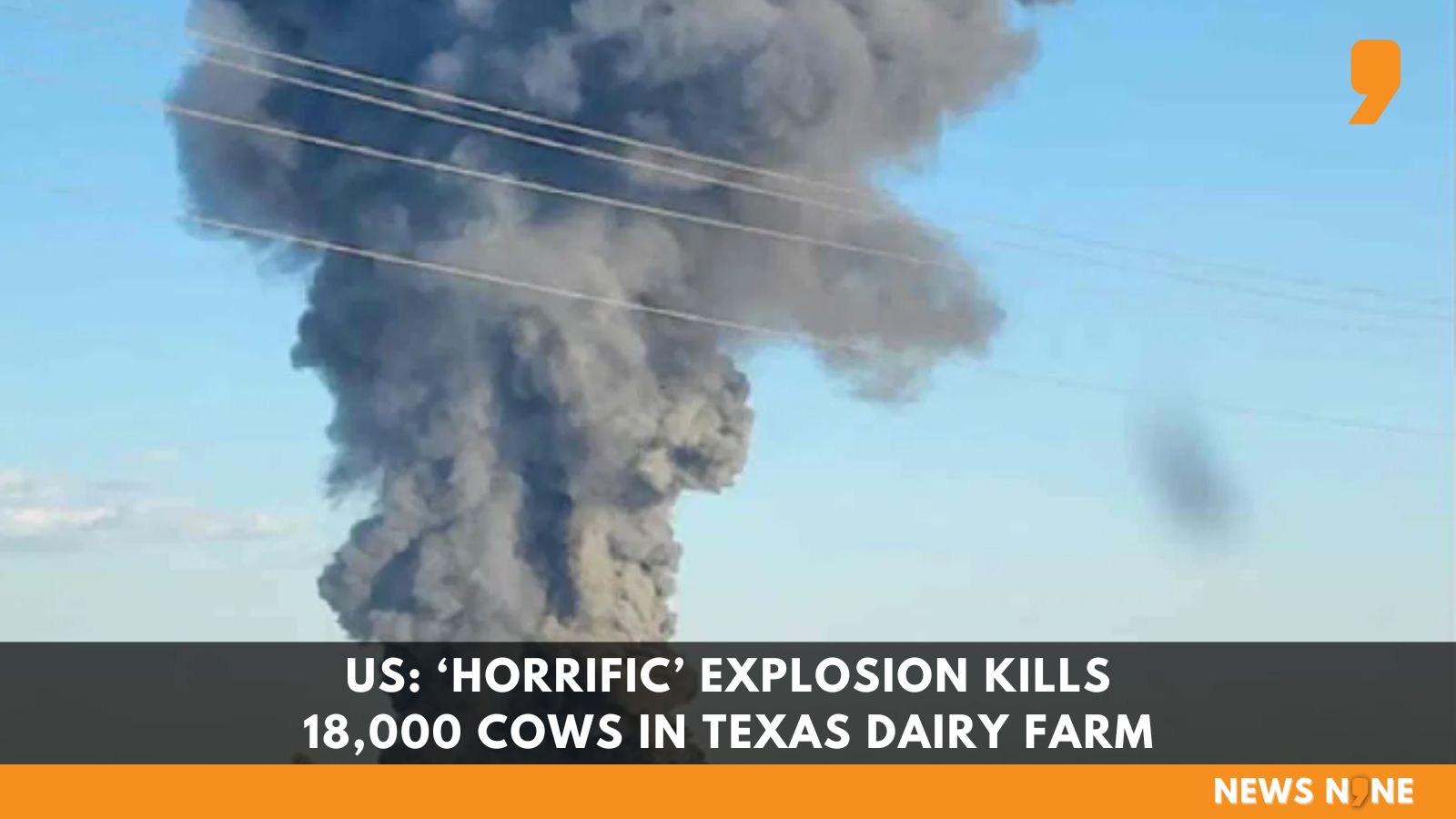 News9 on X: An #explosion reported on Monday night at the South Fork Dairy  Farm in Dimmitt, #Texas has left at least 18,000 cattle dead. Read:   #US #Dimmitt #dairy #fire #News #